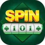 Spin 101